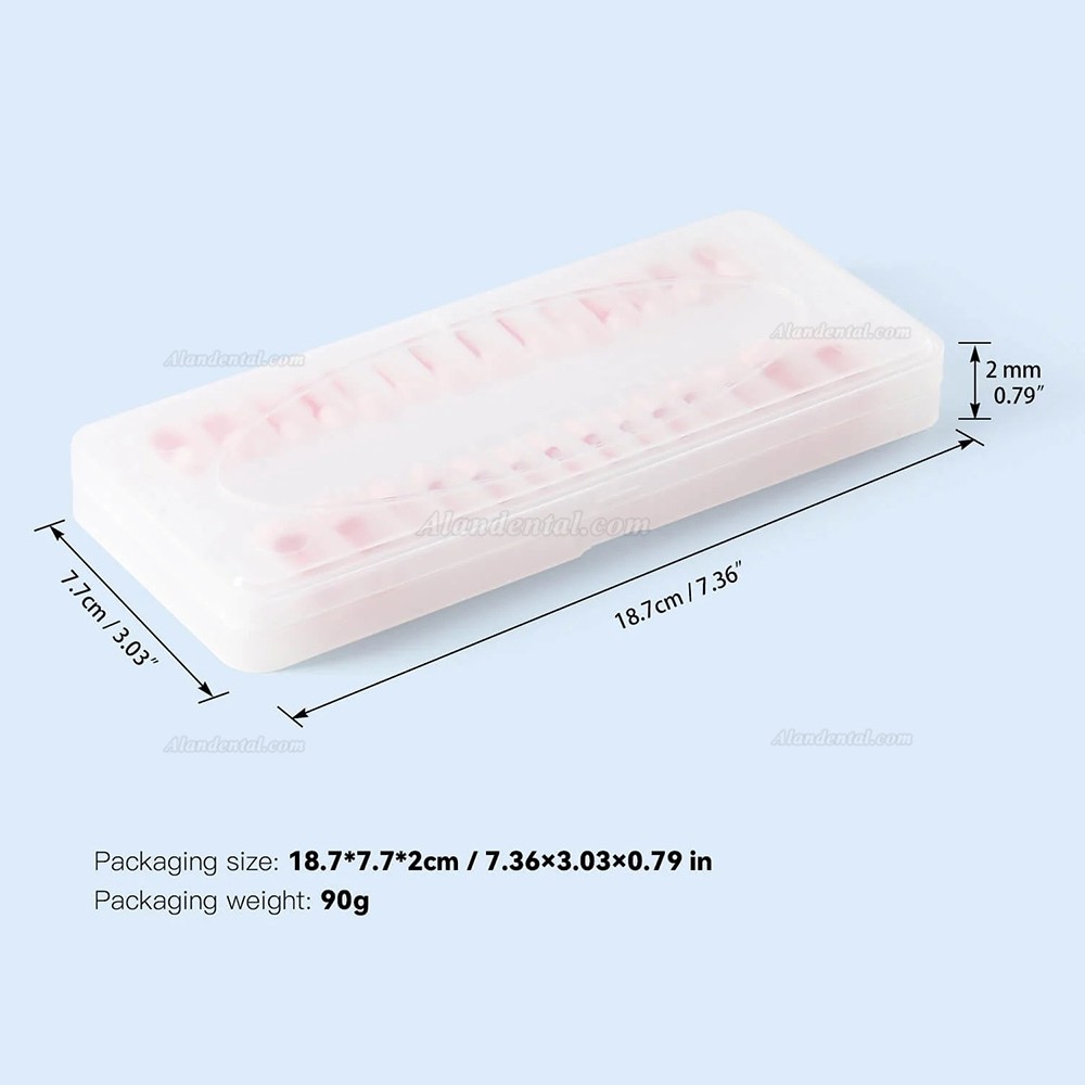 28pcs/Set Dental Typodont Teeth, Root Canal Practice Model